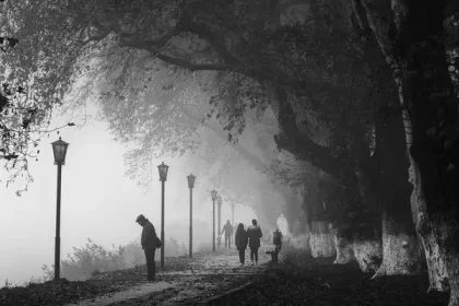 inzenyr vladimir tekverk