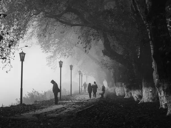 inzenyr vladimir tekverk